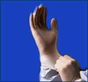 glove2.gif - large