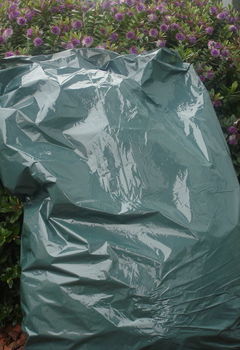 GreenGarbageBag3.JPG