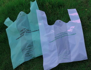Shopping_Bag.JPG
